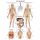Erler Zimmer Anatomical Chart "Lymphatic System", Different Sizes