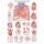 Erler Zimmer Anatomical Chart "The Human Heart", Different Sizes