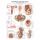 Erler Zimmer Anatomical Chart "Female Genital Organs", Diff. Sizes