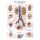 Erler Zimmer Anatomical Chart "Urinary System", Different Sizes