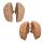 Erler Zimmer Human Brain, Actual Cast, 2 Variants