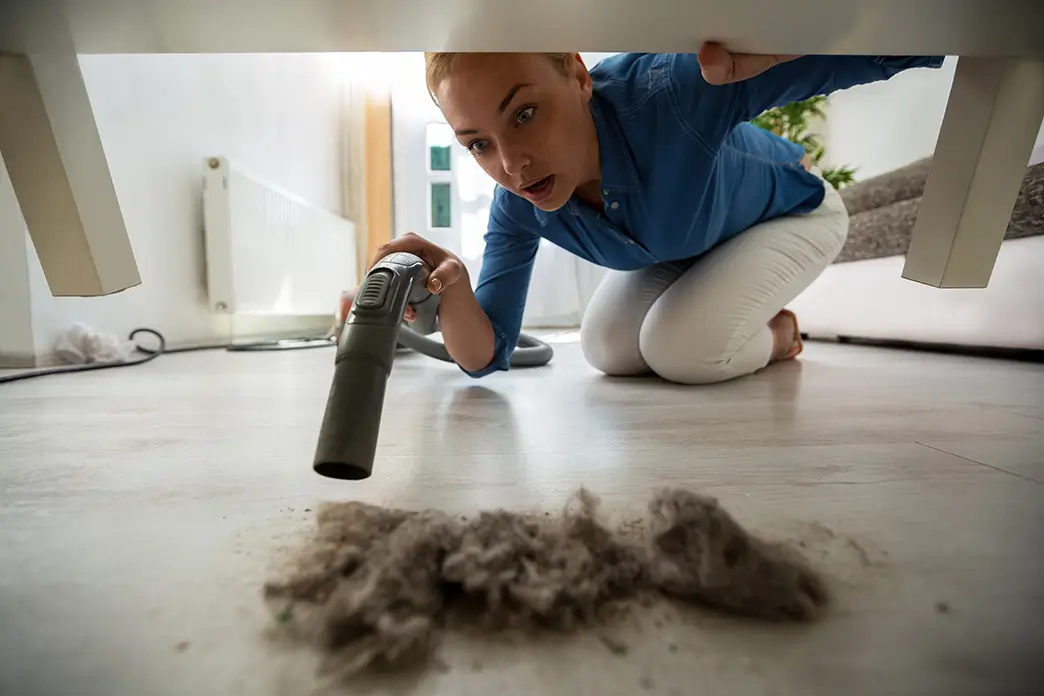 House Dust Allergy - The Hidden Allergy of Everyday Life