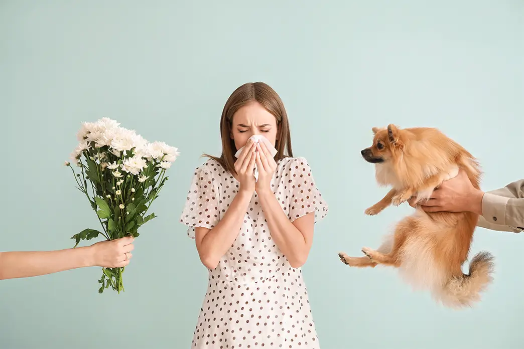 Allergies – From Hay Fever to Hyposensitization Allergies – From Hay Fever to Hyposensitization
